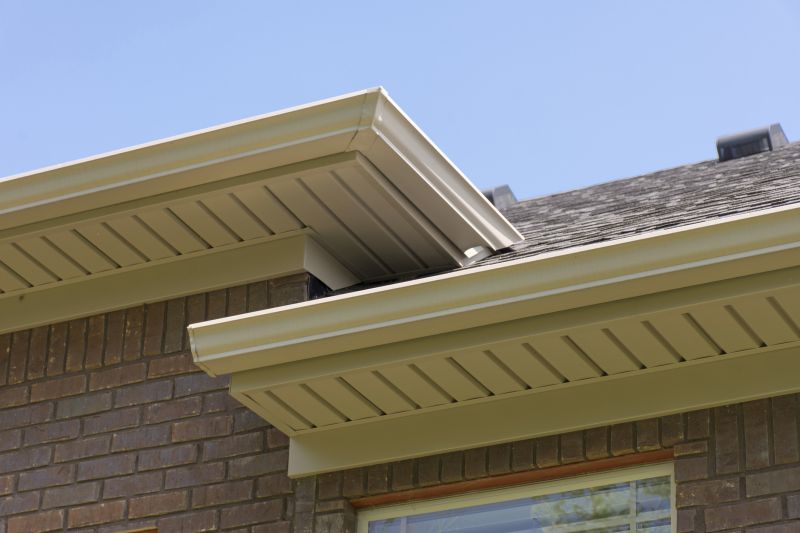 Vinyl Molding Repair in Alpharetta, GA